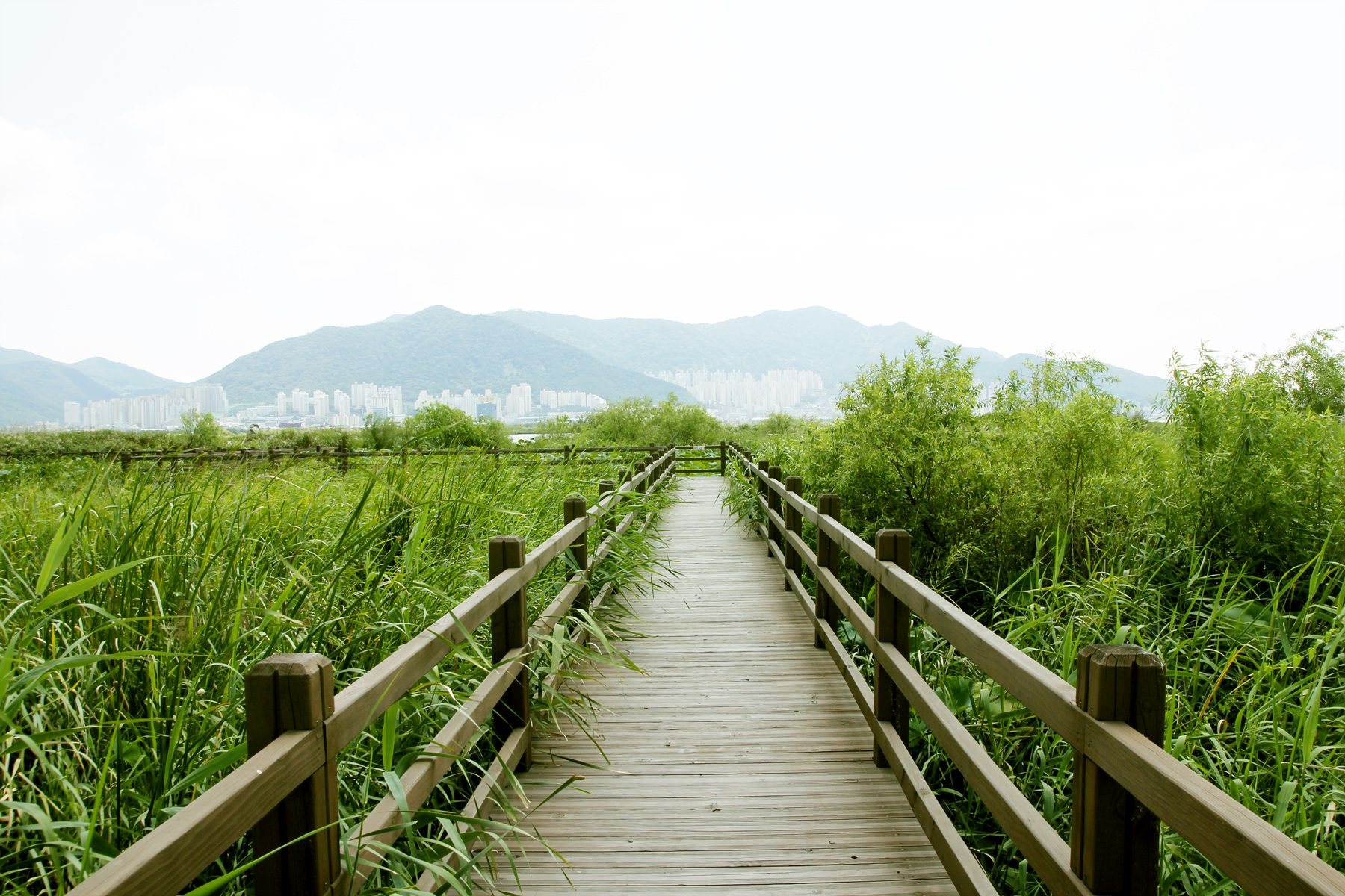 주변 즐길거리 4